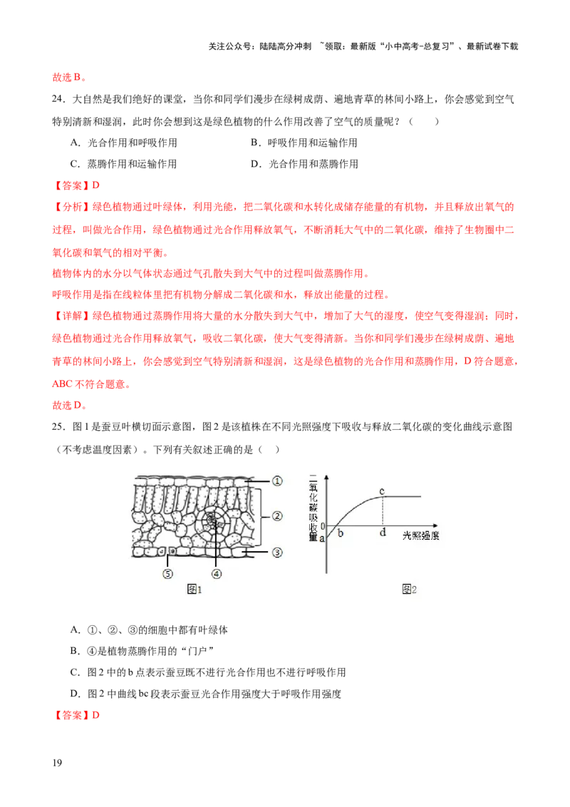热点突破02植物的三大作用（测试）（解析版）_02中考总复习（2026版更新中）_08-生物-中考总复习_2025中考复习资料_2025中考二轮课件ppt+讲义+练习生物_测试