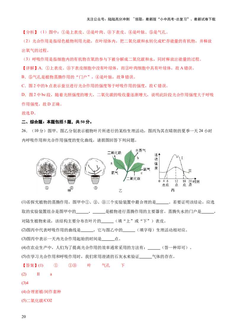 热点突破02植物的三大作用（测试）（解析版）_02中考总复习（2026版更新中）_08-生物-中考总复习_2025中考复习资料_2025中考二轮课件ppt+讲义+练习生物_测试