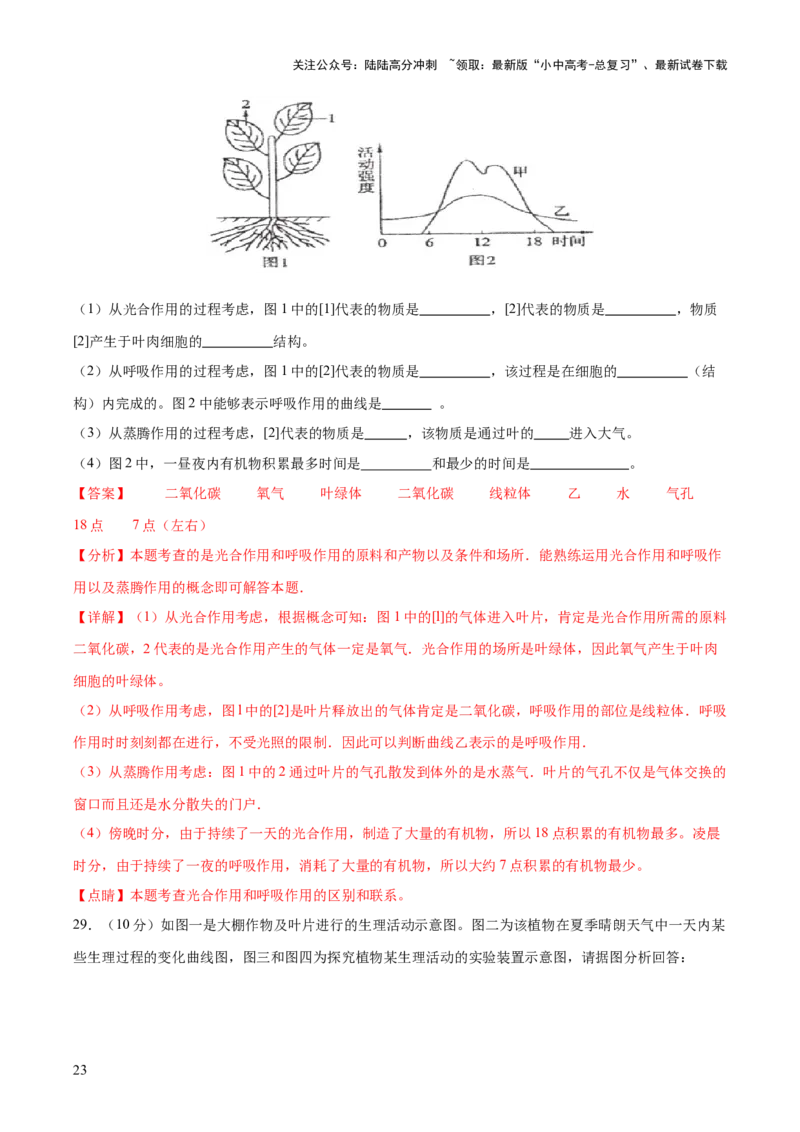 热点突破02植物的三大作用（测试）（解析版）_02中考总复习（2026版更新中）_08-生物-中考总复习_2025中考复习资料_2025中考二轮课件ppt+讲义+练习生物_测试