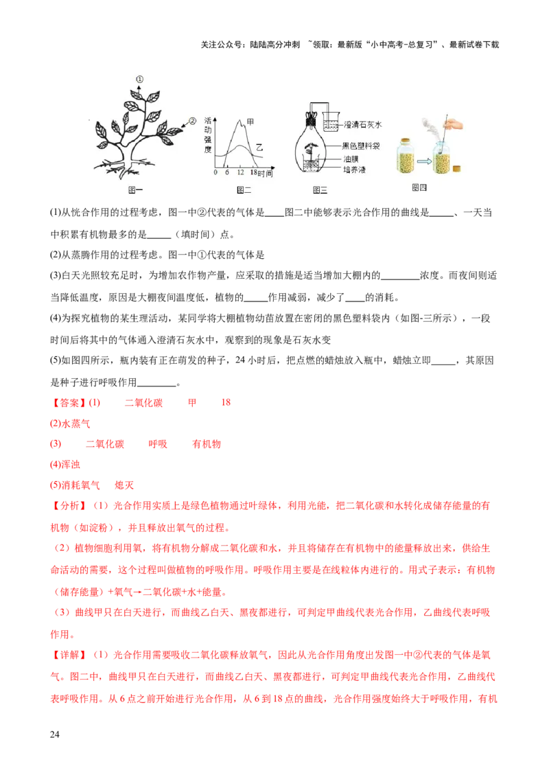热点突破02植物的三大作用（测试）（解析版）_02中考总复习（2026版更新中）_08-生物-中考总复习_2025中考复习资料_2025中考二轮课件ppt+讲义+练习生物_测试
