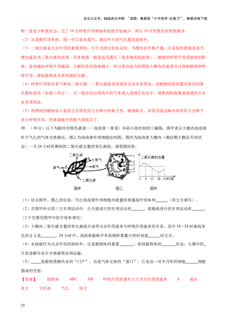 热点突破02植物的三大作用（测试）（解析版）_02中考总复习（2026版更新中）_08-生物-中考总复习_2025中考复习资料_2025中考二轮课件ppt+讲义+练习生物_测试