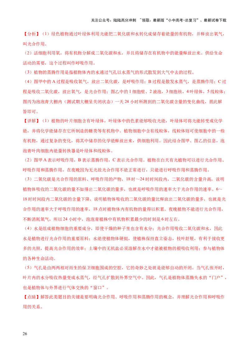 热点突破02植物的三大作用（测试）（解析版）_02中考总复习（2026版更新中）_08-生物-中考总复习_2025中考复习资料_2025中考二轮课件ppt+讲义+练习生物_测试