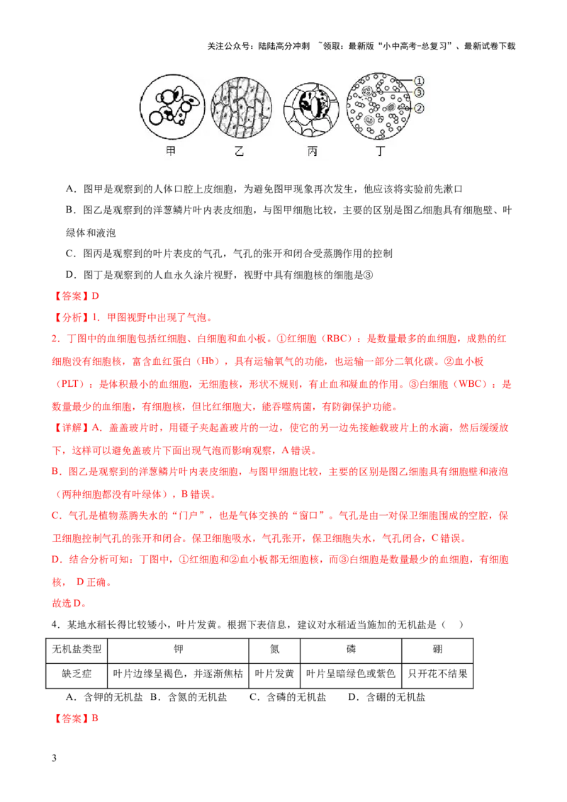 热点突破02植物的三大作用（测试）（解析版）_02中考总复习（2026版更新中）_08-生物-中考总复习_2025中考复习资料_2025中考二轮课件ppt+讲义+练习生物_测试