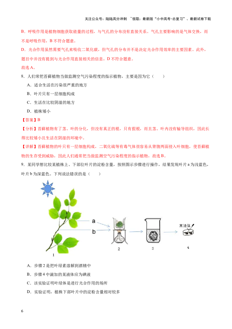 热点突破02植物的三大作用（测试）（解析版）_02中考总复习（2026版更新中）_08-生物-中考总复习_2025中考复习资料_2025中考二轮课件ppt+讲义+练习生物_测试