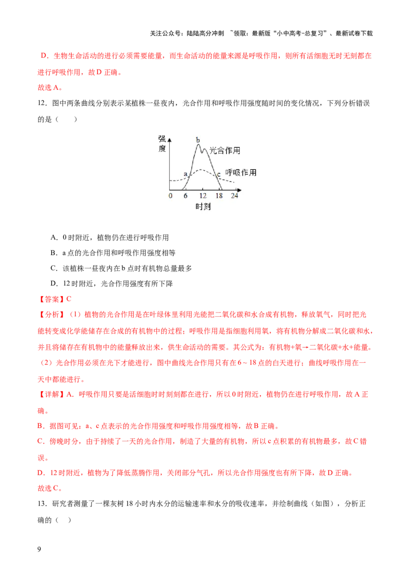 热点突破02植物的三大作用（测试）（解析版）_02中考总复习（2026版更新中）_08-生物-中考总复习_2025中考复习资料_2025中考二轮课件ppt+讲义+练习生物_测试