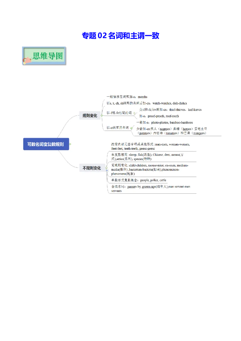 专题02名词和主谓一致（复习思维导图+必备知识手册）_31882461(1)_3.2025英语总复习_2023年新高考资料_备战2023年高考英语抢分秘籍（新高考专用）