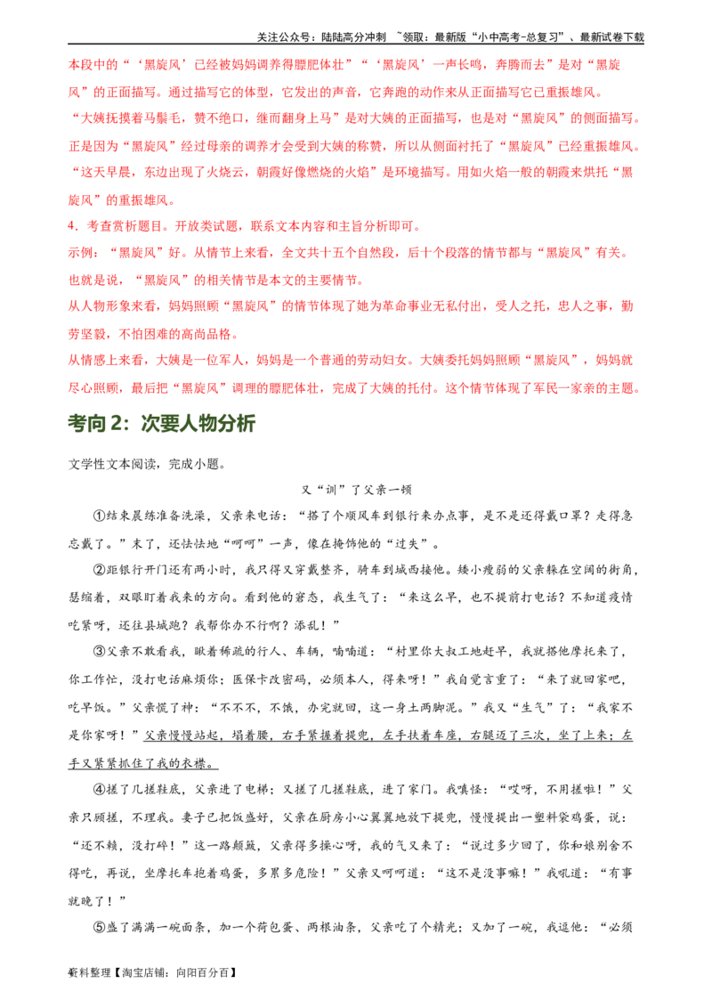 第21讲分析人物形象（练习）-2024年中考语文一轮复习讲练测（全国通用）（解析版）_02中考总复习（2026版更新中）_01-语文-中考总复习_2024年中考资料_一轮复习_2024一轮复习课件+讲义+练习