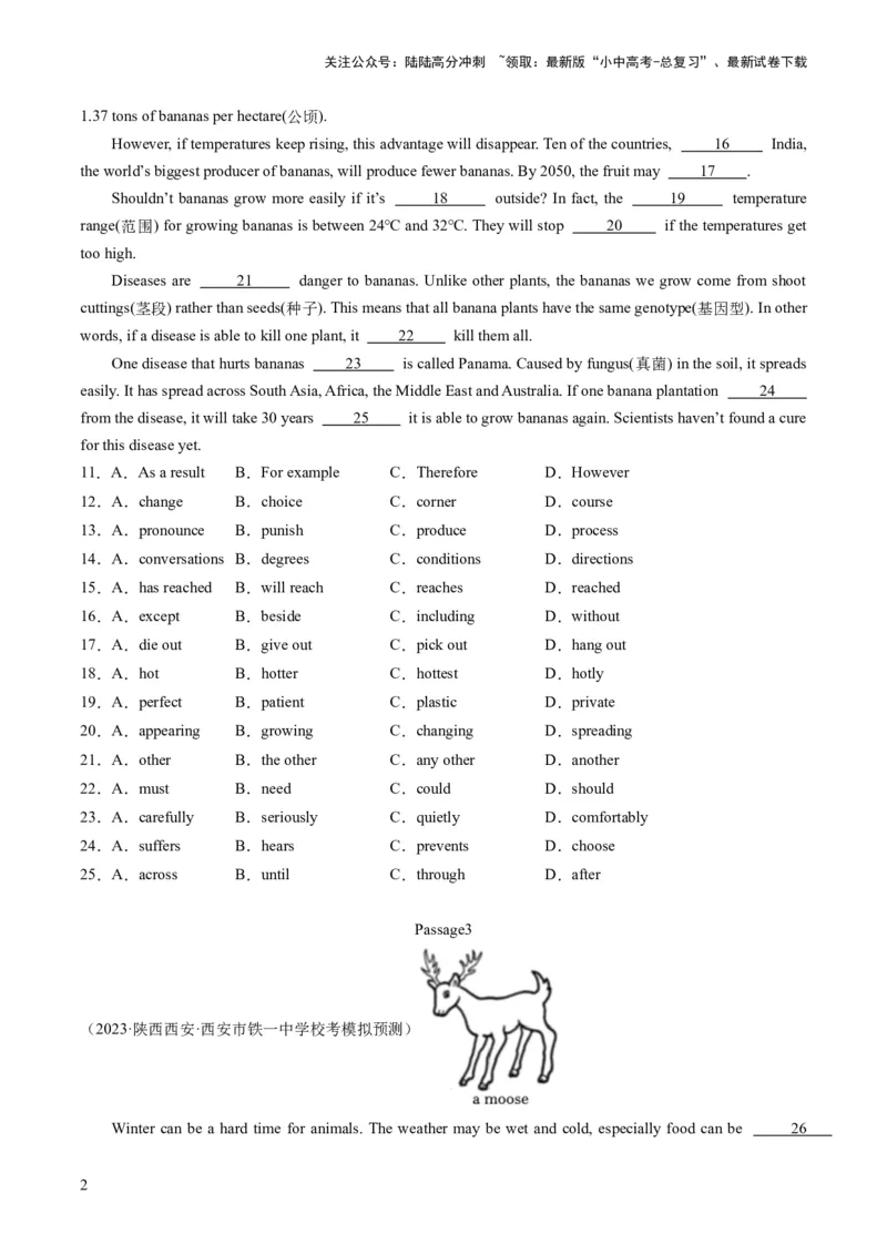 第03讲完形填空之说明文（练习）-2024年中考英语一轮复习讲练测（全国通用）（原卷版）_02中考总复习（2026版更新中）_03-英语-中考总复习_2024年中考复习资料_一轮复习
