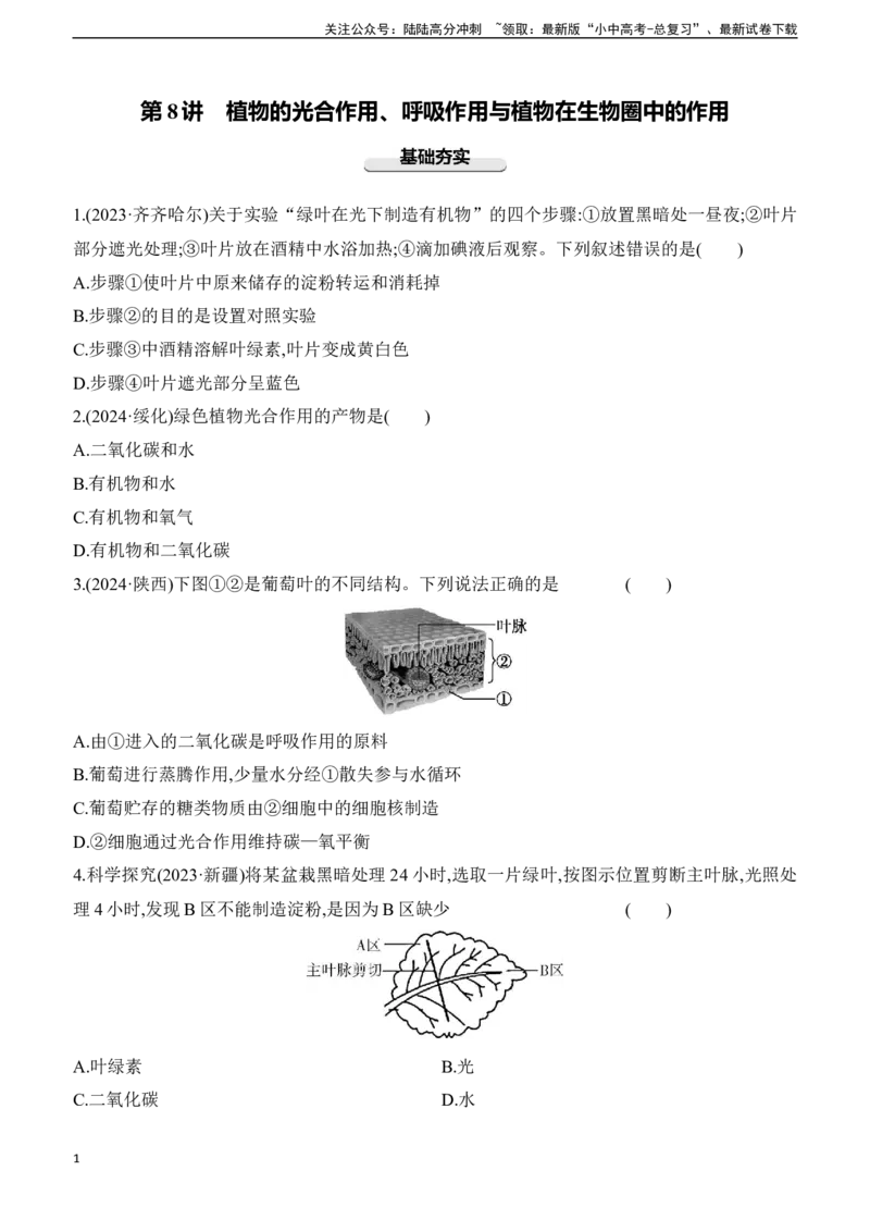 第08讲　植物的光合作用、呼吸作用与植物在生物圈中的作用2025年中考生物学专题练习（含答案）_02中考总复习（2026版更新中）_08-生物-中考总复习_2025中考复习资料