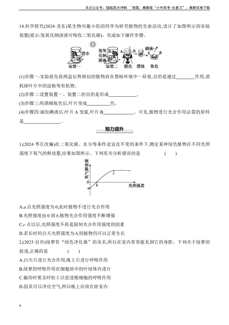 第08讲　植物的光合作用、呼吸作用与植物在生物圈中的作用2025年中考生物学专题练习（含答案）_02中考总复习（2026版更新中）_08-生物-中考总复习_2025中考复习资料