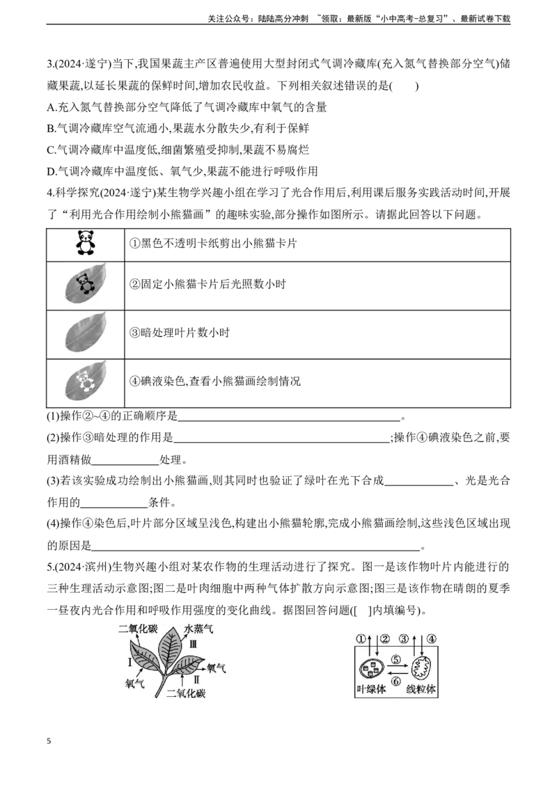 第08讲　植物的光合作用、呼吸作用与植物在生物圈中的作用2025年中考生物学专题练习（含答案）_02中考总复习（2026版更新中）_08-生物-中考总复习_2025中考复习资料