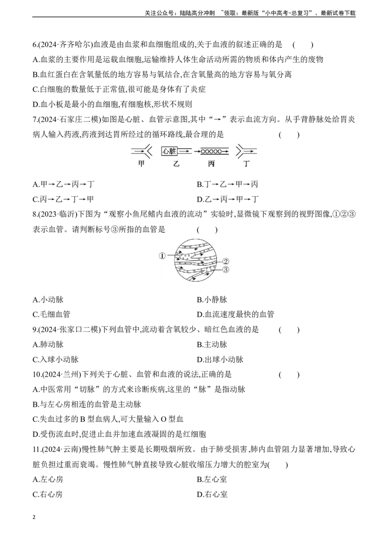 第12讲　人体内物质的运输2025年中考生物学专题练习（含答案）_02中考总复习（2026版更新中）_08-生物-中考总复习_2025中考复习资料_2025年中考生物学专题练习(含答案)