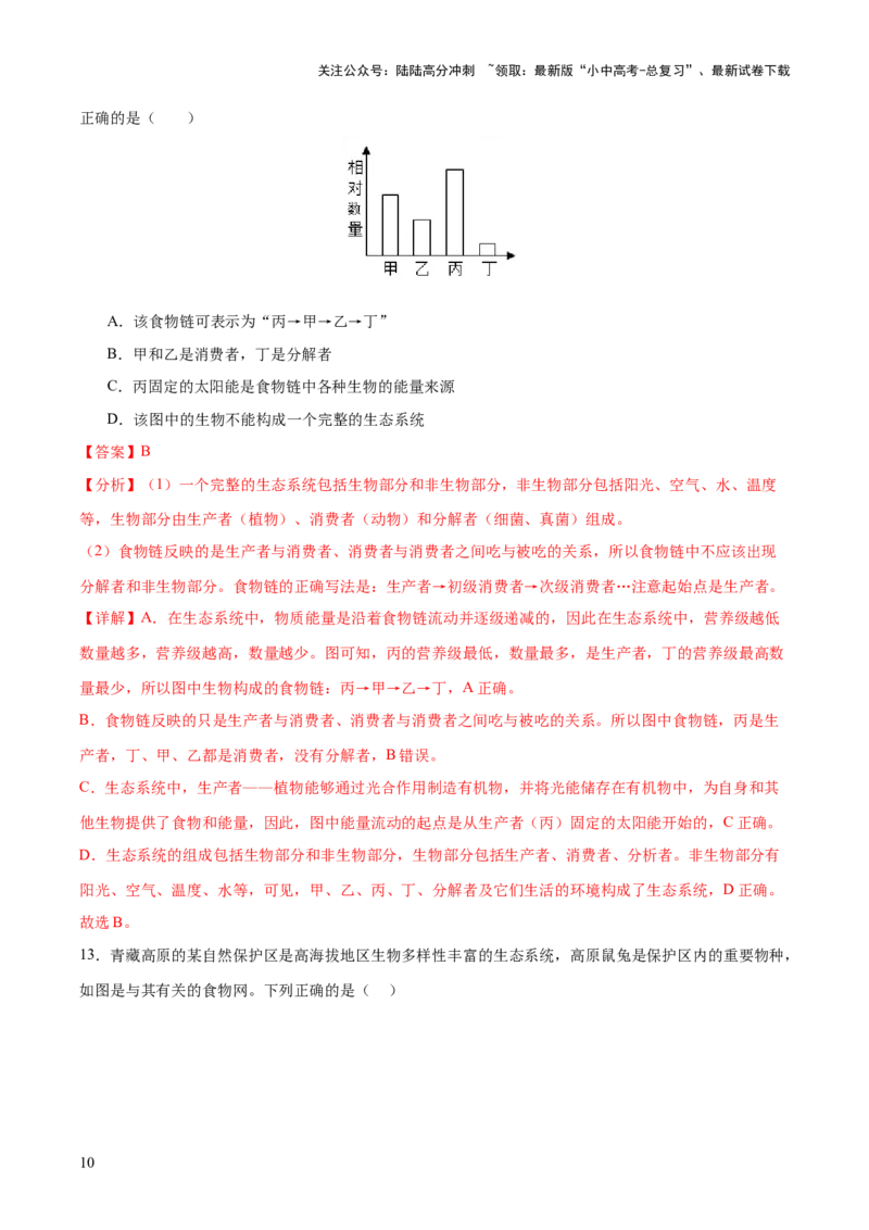 热点突破01食物网和碳循环模型的构建（测试）（解析版）_02中考总复习（2026版更新中）_08-生物-中考总复习_2025中考复习资料_2025中考二轮课件ppt+讲义+练习生物_测试