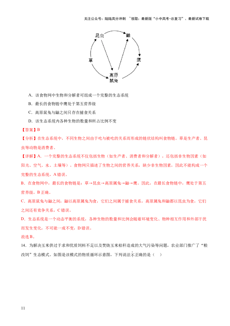 热点突破01食物网和碳循环模型的构建（测试）（解析版）_02中考总复习（2026版更新中）_08-生物-中考总复习_2025中考复习资料_2025中考二轮课件ppt+讲义+练习生物_测试