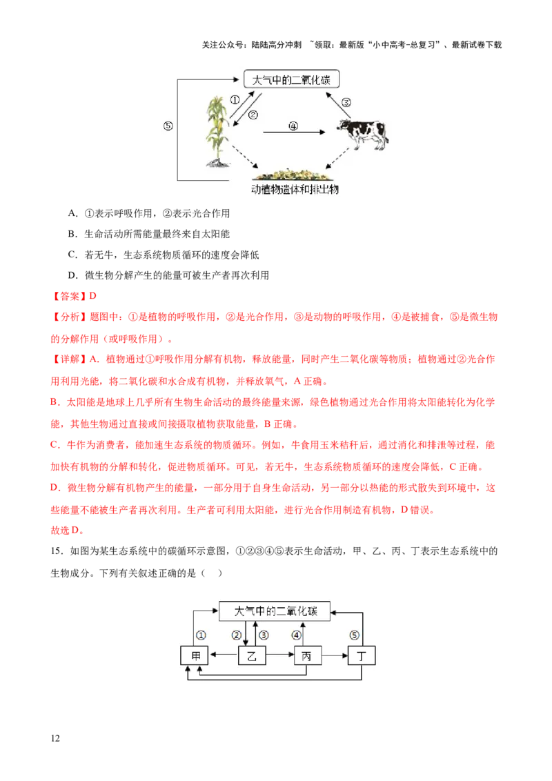 热点突破01食物网和碳循环模型的构建（测试）（解析版）_02中考总复习（2026版更新中）_08-生物-中考总复习_2025中考复习资料_2025中考二轮课件ppt+讲义+练习生物_测试