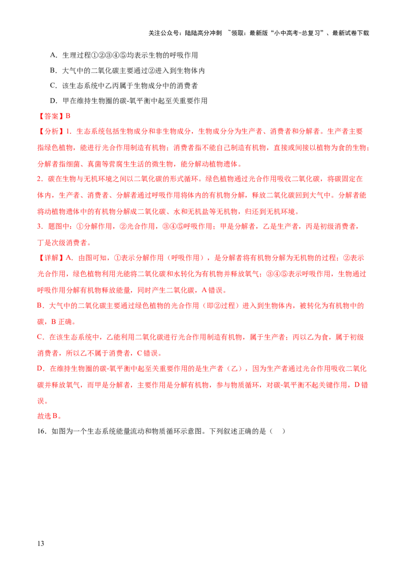热点突破01食物网和碳循环模型的构建（测试）（解析版）_02中考总复习（2026版更新中）_08-生物-中考总复习_2025中考复习资料_2025中考二轮课件ppt+讲义+练习生物_测试