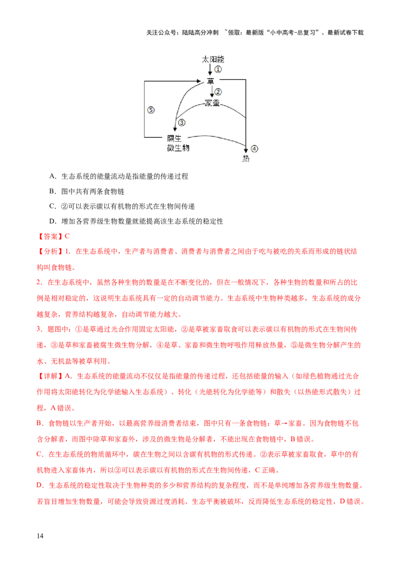 热点突破01食物网和碳循环模型的构建（测试）（解析版）_02中考总复习（2026版更新中）_08-生物-中考总复习_2025中考复习资料_2025中考二轮课件ppt+讲义+练习生物_测试