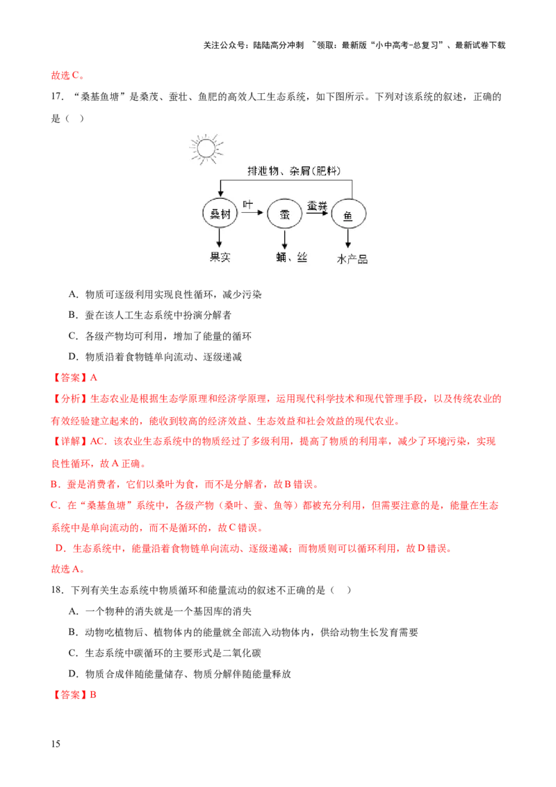 热点突破01食物网和碳循环模型的构建（测试）（解析版）_02中考总复习（2026版更新中）_08-生物-中考总复习_2025中考复习资料_2025中考二轮课件ppt+讲义+练习生物_测试