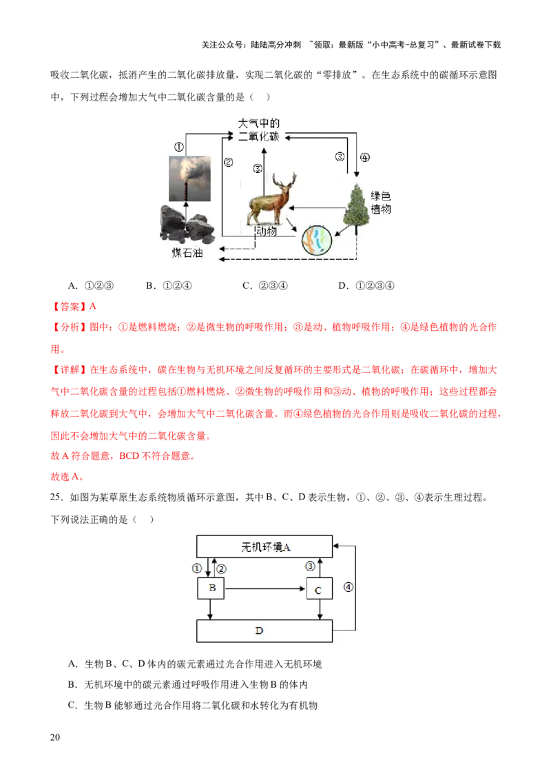热点突破01食物网和碳循环模型的构建（测试）（解析版）_02中考总复习（2026版更新中）_08-生物-中考总复习_2025中考复习资料_2025中考二轮课件ppt+讲义+练习生物_测试