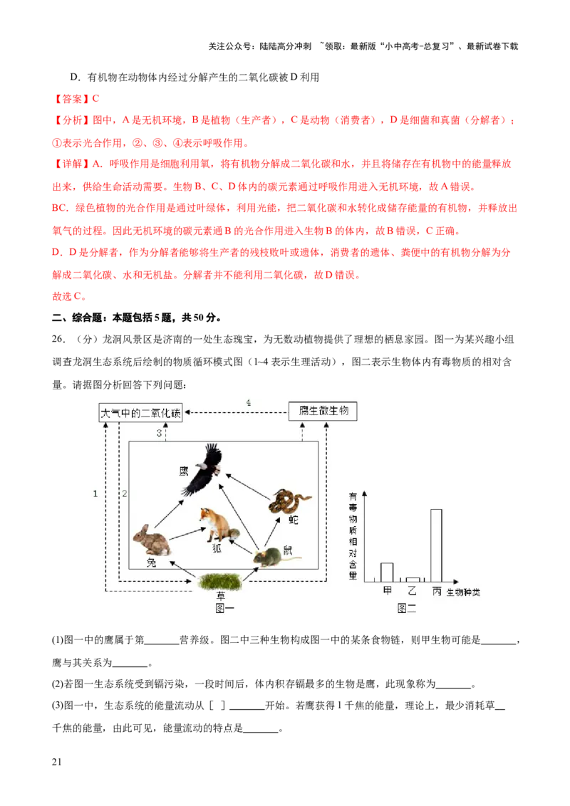 热点突破01食物网和碳循环模型的构建（测试）（解析版）_02中考总复习（2026版更新中）_08-生物-中考总复习_2025中考复习资料_2025中考二轮课件ppt+讲义+练习生物_测试