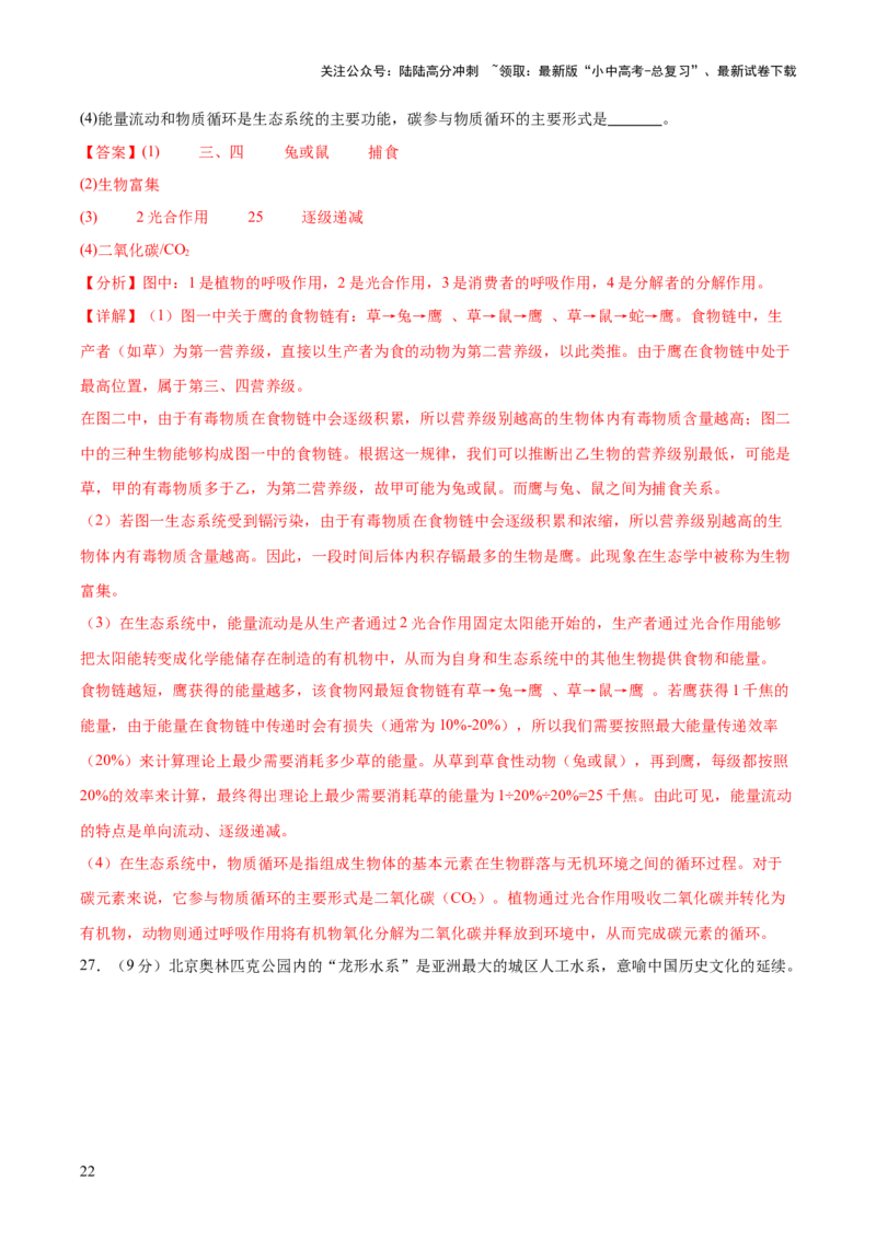 热点突破01食物网和碳循环模型的构建（测试）（解析版）_02中考总复习（2026版更新中）_08-生物-中考总复习_2025中考复习资料_2025中考二轮课件ppt+讲义+练习生物_测试