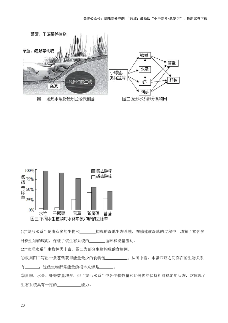 热点突破01食物网和碳循环模型的构建（测试）（解析版）_02中考总复习（2026版更新中）_08-生物-中考总复习_2025中考复习资料_2025中考二轮课件ppt+讲义+练习生物_测试