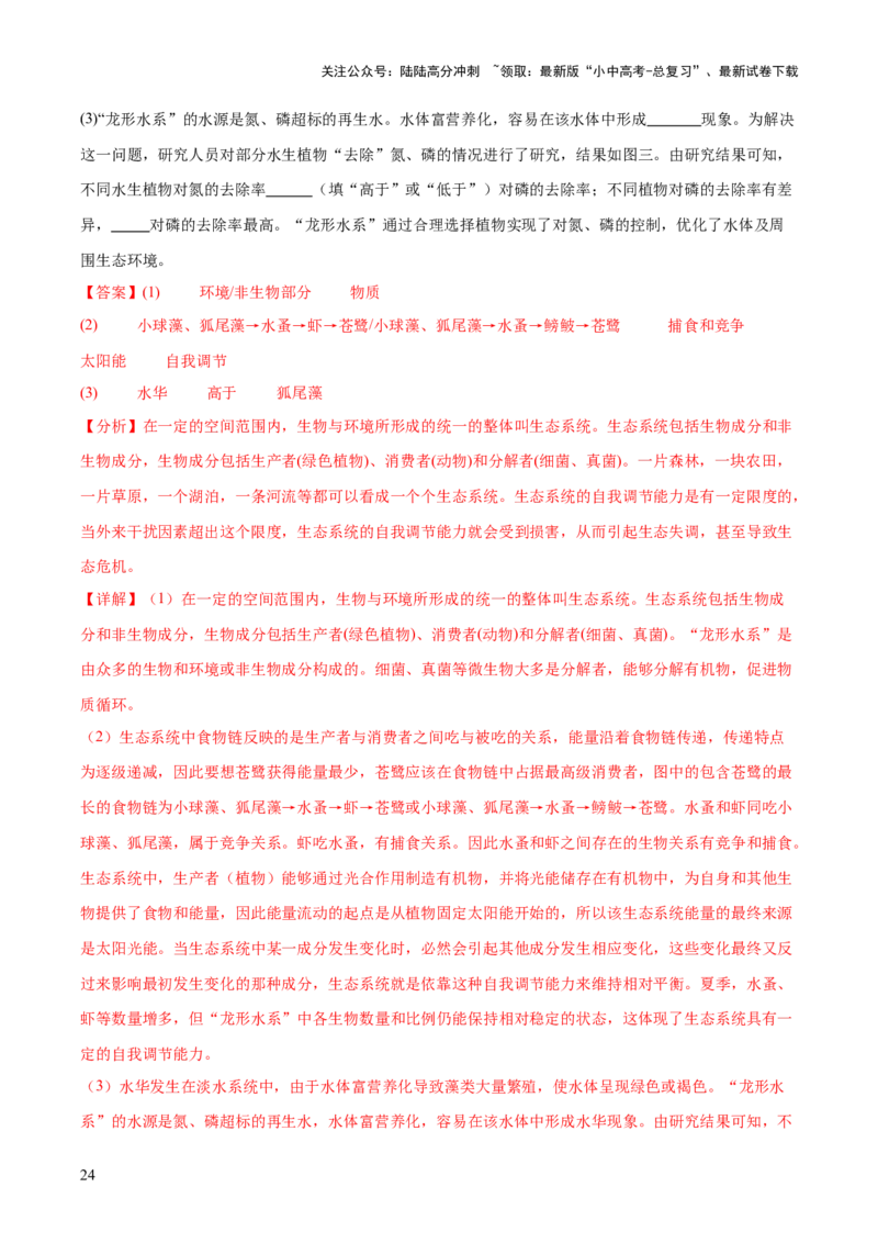 热点突破01食物网和碳循环模型的构建（测试）（解析版）_02中考总复习（2026版更新中）_08-生物-中考总复习_2025中考复习资料_2025中考二轮课件ppt+讲义+练习生物_测试