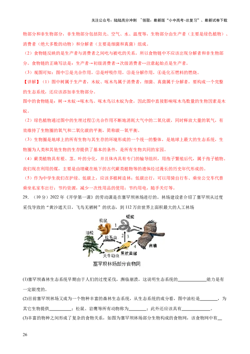 热点突破01食物网和碳循环模型的构建（测试）（解析版）_02中考总复习（2026版更新中）_08-生物-中考总复习_2025中考复习资料_2025中考二轮课件ppt+讲义+练习生物_测试