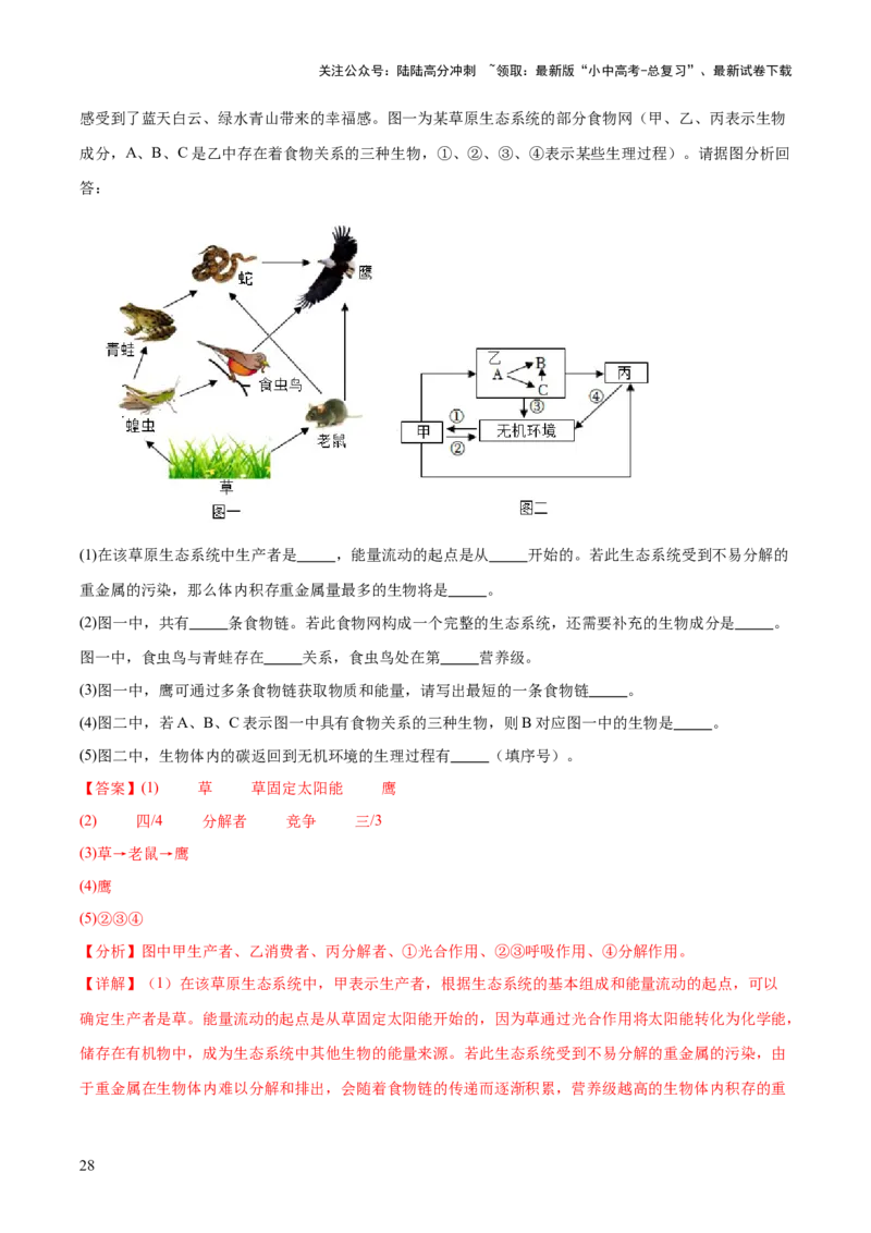 热点突破01食物网和碳循环模型的构建（测试）（解析版）_02中考总复习（2026版更新中）_08-生物-中考总复习_2025中考复习资料_2025中考二轮课件ppt+讲义+练习生物_测试