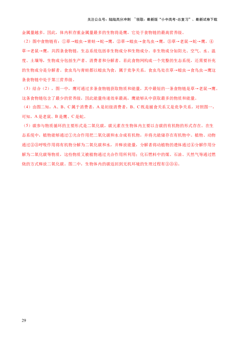 热点突破01食物网和碳循环模型的构建（测试）（解析版）_02中考总复习（2026版更新中）_08-生物-中考总复习_2025中考复习资料_2025中考二轮课件ppt+讲义+练习生物_测试