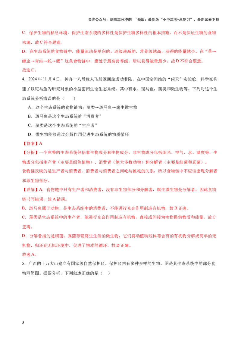 热点突破01食物网和碳循环模型的构建（测试）（解析版）_02中考总复习（2026版更新中）_08-生物-中考总复习_2025中考复习资料_2025中考二轮课件ppt+讲义+练习生物_测试