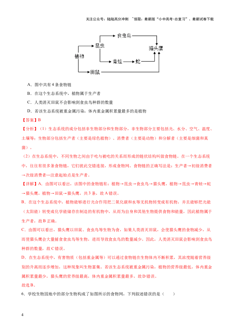 热点突破01食物网和碳循环模型的构建（测试）（解析版）_02中考总复习（2026版更新中）_08-生物-中考总复习_2025中考复习资料_2025中考二轮课件ppt+讲义+练习生物_测试