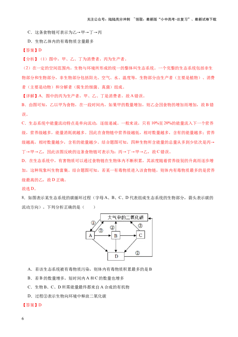 热点突破01食物网和碳循环模型的构建（测试）（解析版）_02中考总复习（2026版更新中）_08-生物-中考总复习_2025中考复习资料_2025中考二轮课件ppt+讲义+练习生物_测试