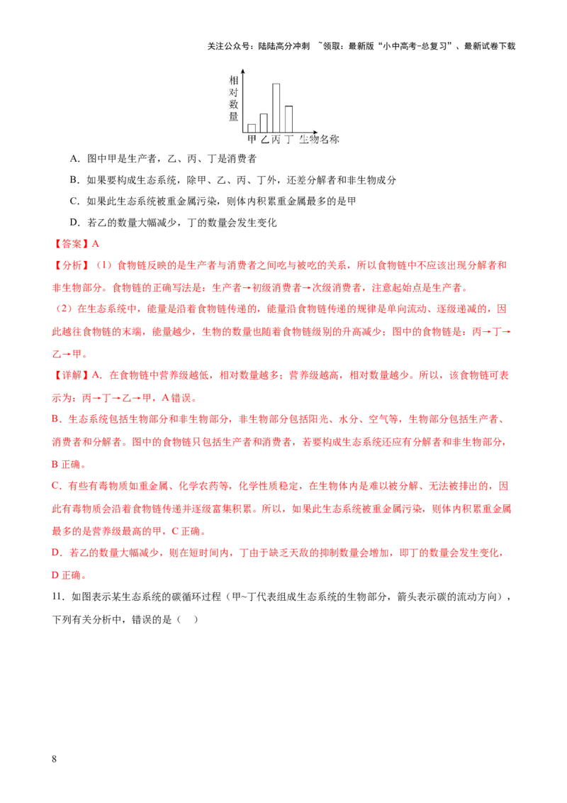 热点突破01食物网和碳循环模型的构建（测试）（解析版）_02中考总复习（2026版更新中）_08-生物-中考总复习_2025中考复习资料_2025中考二轮课件ppt+讲义+练习生物_测试