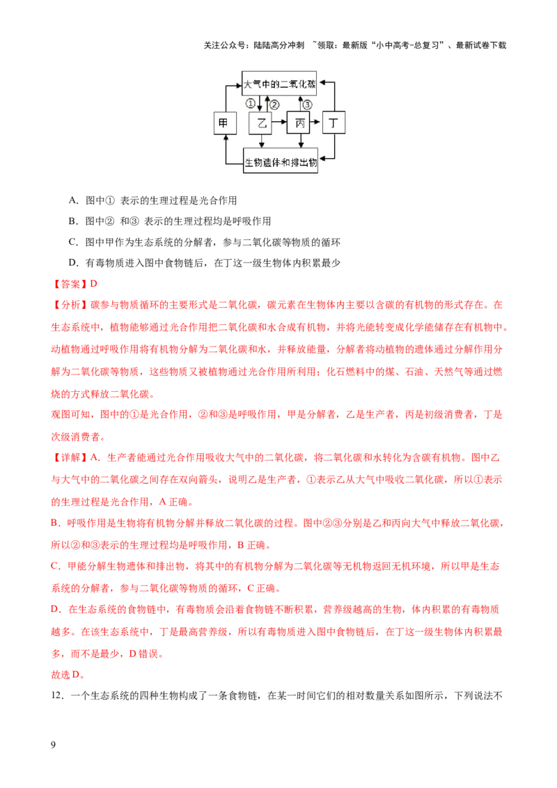 热点突破01食物网和碳循环模型的构建（测试）（解析版）_02中考总复习（2026版更新中）_08-生物-中考总复习_2025中考复习资料_2025中考二轮课件ppt+讲义+练习生物_测试