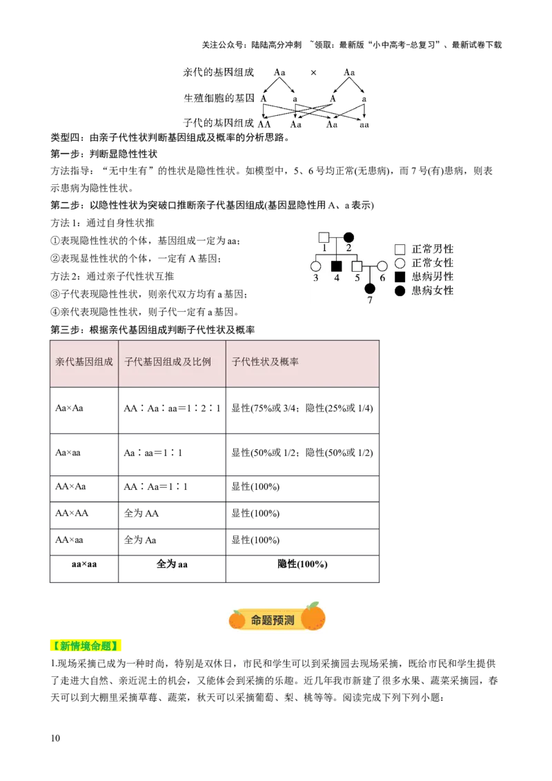 热点突破04基因组成及概率计算（讲练）（解析版）_02中考总复习（2026版更新中）_08-生物-中考总复习_2025中考复习资料_2025中考二轮课件ppt+讲义+练习生物_讲义+练习