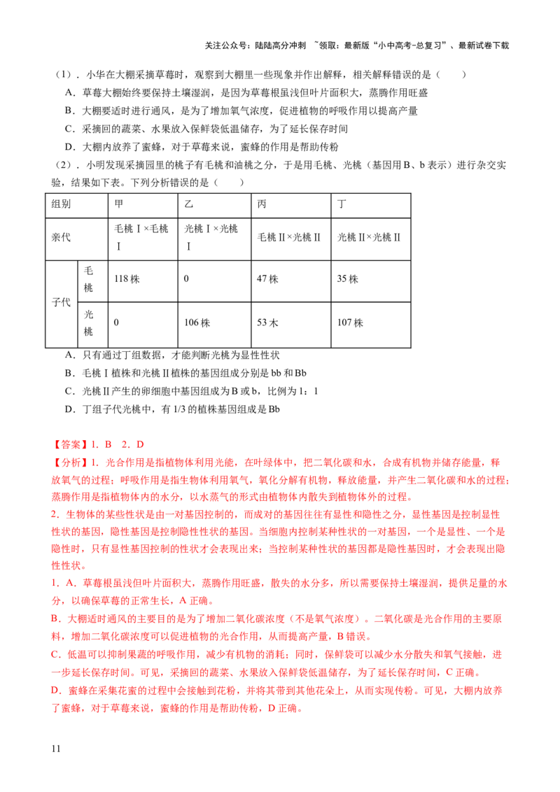 热点突破04基因组成及概率计算（讲练）（解析版）_02中考总复习（2026版更新中）_08-生物-中考总复习_2025中考复习资料_2025中考二轮课件ppt+讲义+练习生物_讲义+练习