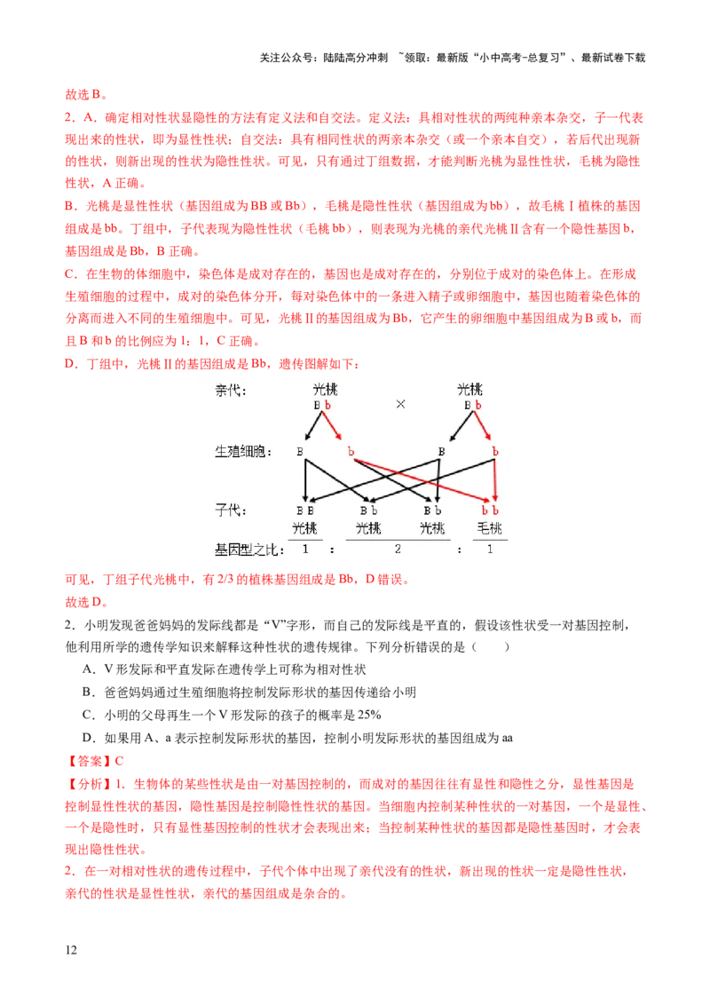 热点突破04基因组成及概率计算（讲练）（解析版）_02中考总复习（2026版更新中）_08-生物-中考总复习_2025中考复习资料_2025中考二轮课件ppt+讲义+练习生物_讲义+练习