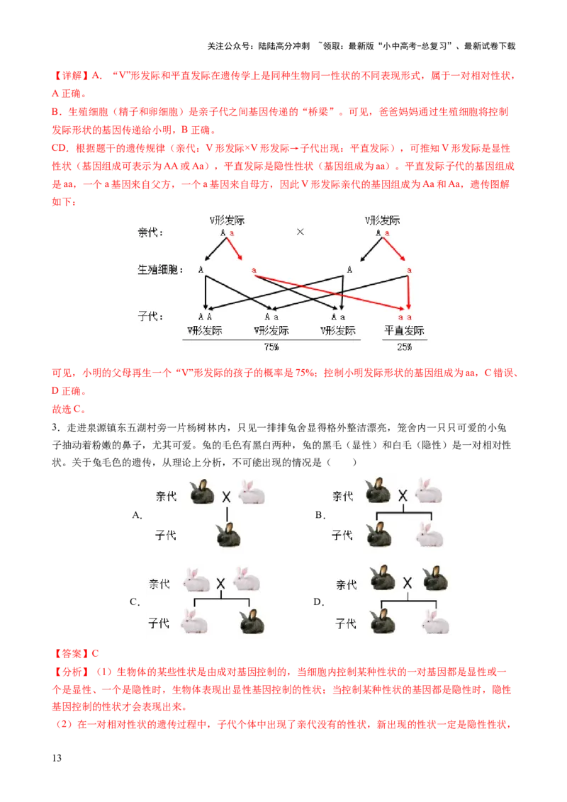 热点突破04基因组成及概率计算（讲练）（解析版）_02中考总复习（2026版更新中）_08-生物-中考总复习_2025中考复习资料_2025中考二轮课件ppt+讲义+练习生物_讲义+练习