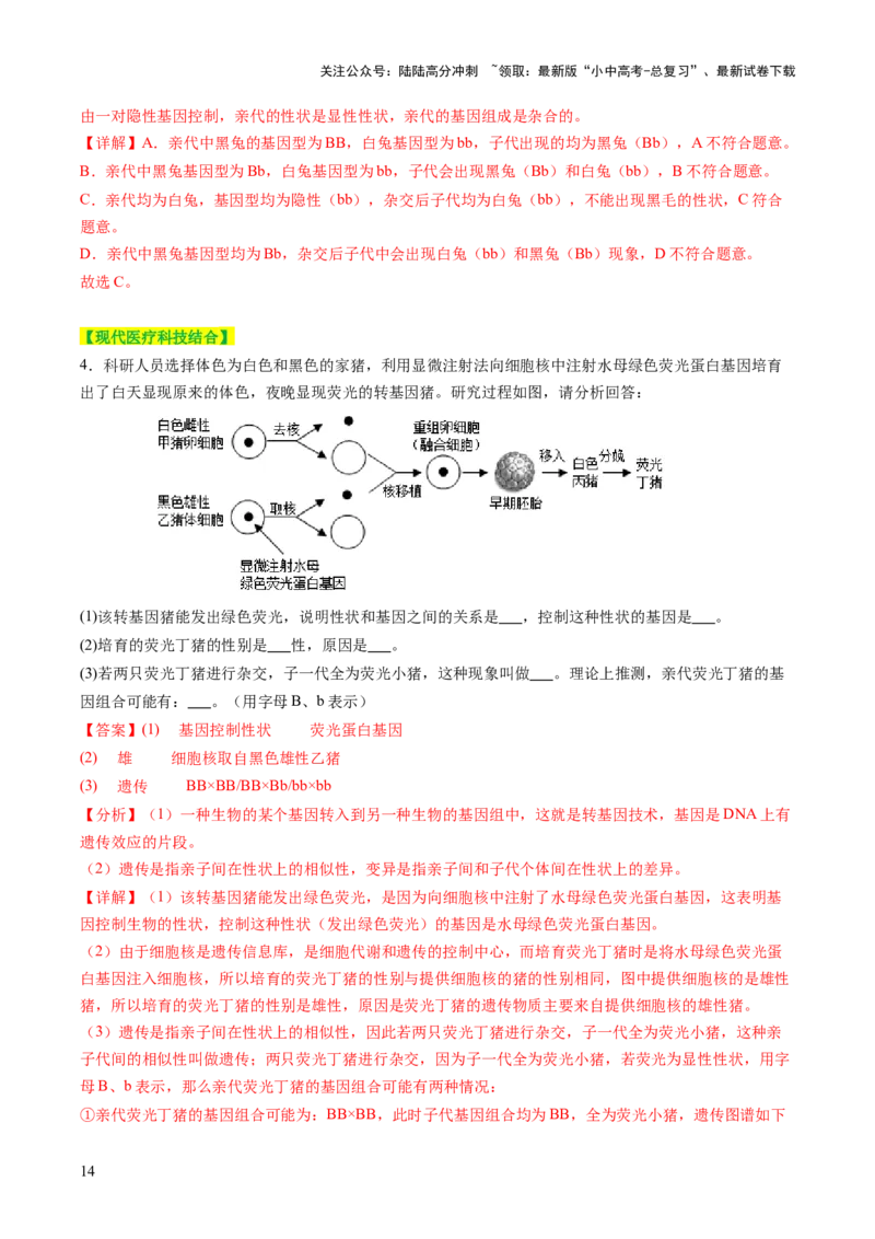 热点突破04基因组成及概率计算（讲练）（解析版）_02中考总复习（2026版更新中）_08-生物-中考总复习_2025中考复习资料_2025中考二轮课件ppt+讲义+练习生物_讲义+练习