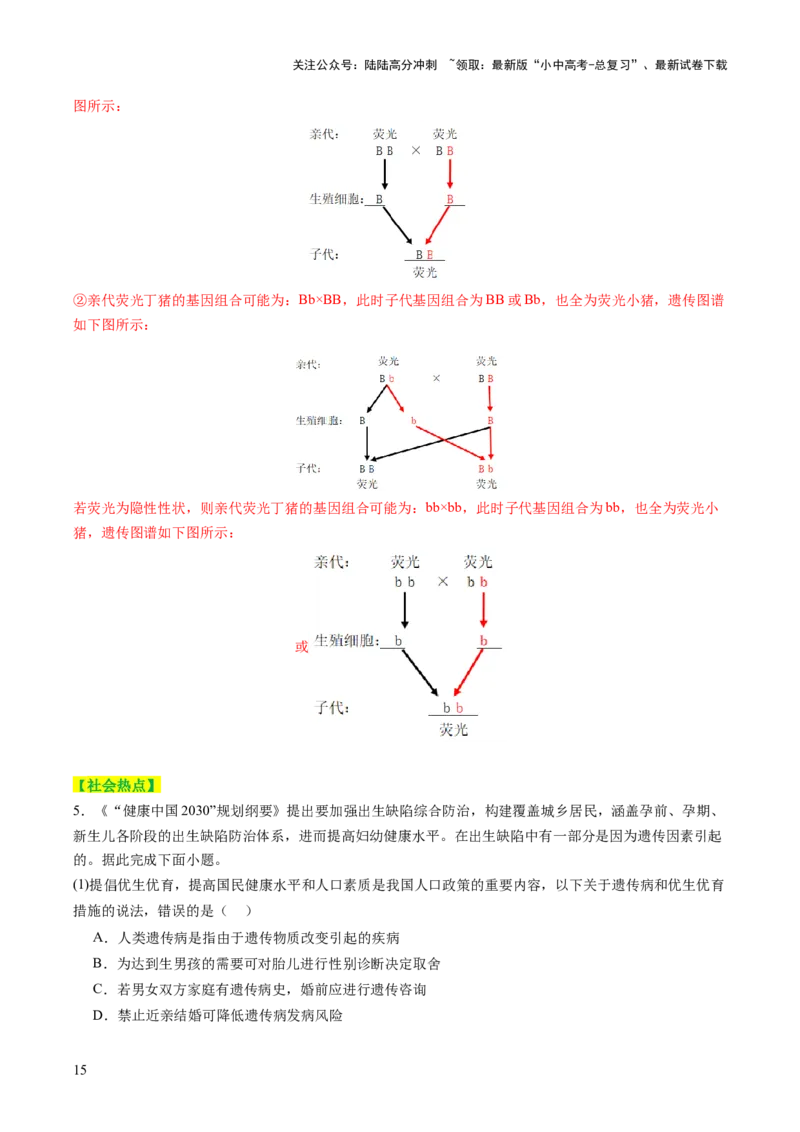 热点突破04基因组成及概率计算（讲练）（解析版）_02中考总复习（2026版更新中）_08-生物-中考总复习_2025中考复习资料_2025中考二轮课件ppt+讲义+练习生物_讲义+练习