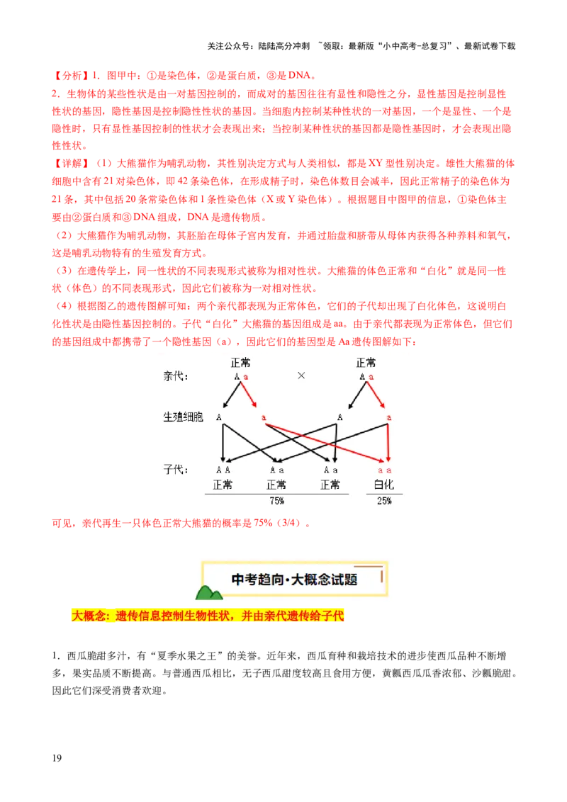 热点突破04基因组成及概率计算（讲练）（解析版）_02中考总复习（2026版更新中）_08-生物-中考总复习_2025中考复习资料_2025中考二轮课件ppt+讲义+练习生物_讲义+练习