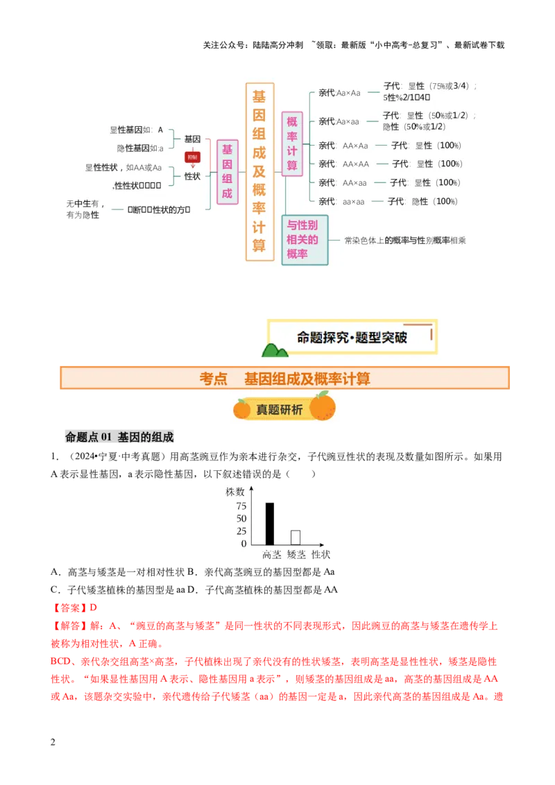 热点突破04基因组成及概率计算（讲练）（解析版）_02中考总复习（2026版更新中）_08-生物-中考总复习_2025中考复习资料_2025中考二轮课件ppt+讲义+练习生物_讲义+练习