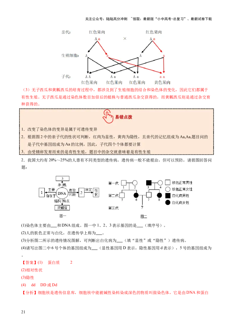 热点突破04基因组成及概率计算（讲练）（解析版）_02中考总复习（2026版更新中）_08-生物-中考总复习_2025中考复习资料_2025中考二轮课件ppt+讲义+练习生物_讲义+练习