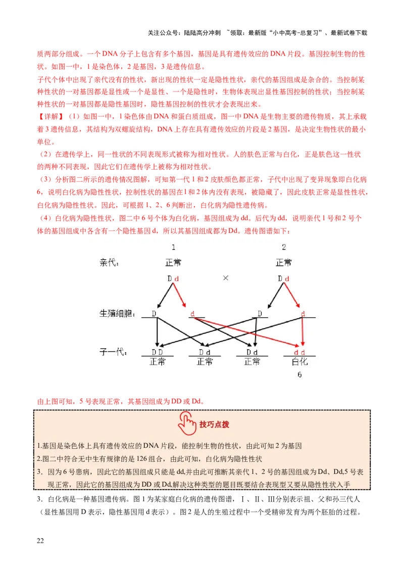 热点突破04基因组成及概率计算（讲练）（解析版）_02中考总复习（2026版更新中）_08-生物-中考总复习_2025中考复习资料_2025中考二轮课件ppt+讲义+练习生物_讲义+练习