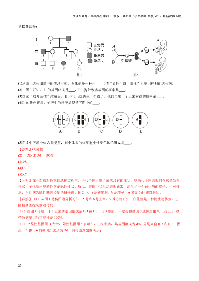 热点突破04基因组成及概率计算（讲练）（解析版）_02中考总复习（2026版更新中）_08-生物-中考总复习_2025中考复习资料_2025中考二轮课件ppt+讲义+练习生物_讲义+练习