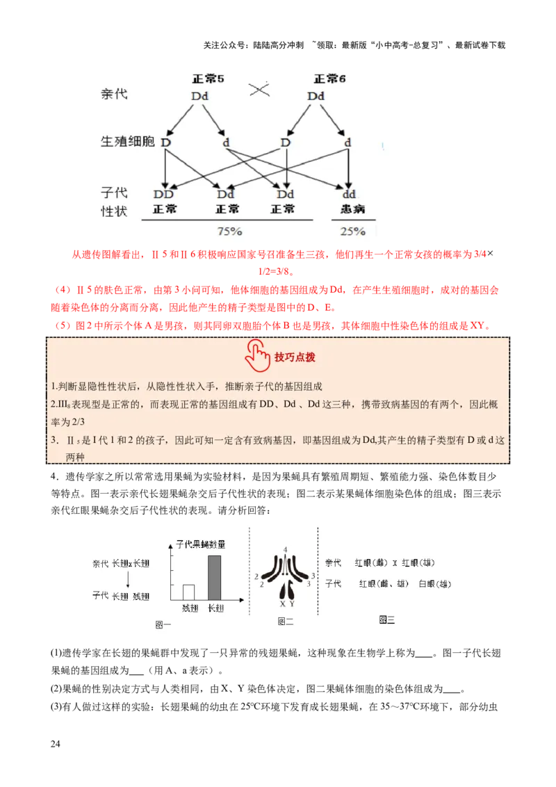 热点突破04基因组成及概率计算（讲练）（解析版）_02中考总复习（2026版更新中）_08-生物-中考总复习_2025中考复习资料_2025中考二轮课件ppt+讲义+练习生物_讲义+练习