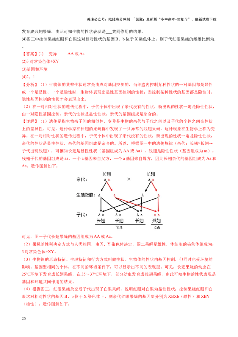 热点突破04基因组成及概率计算（讲练）（解析版）_02中考总复习（2026版更新中）_08-生物-中考总复习_2025中考复习资料_2025中考二轮课件ppt+讲义+练习生物_讲义+练习