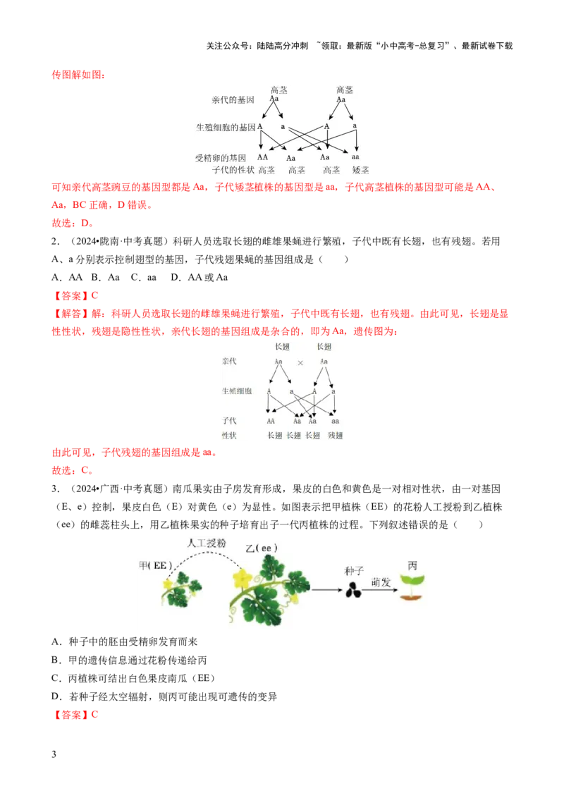 热点突破04基因组成及概率计算（讲练）（解析版）_02中考总复习（2026版更新中）_08-生物-中考总复习_2025中考复习资料_2025中考二轮课件ppt+讲义+练习生物_讲义+练习
