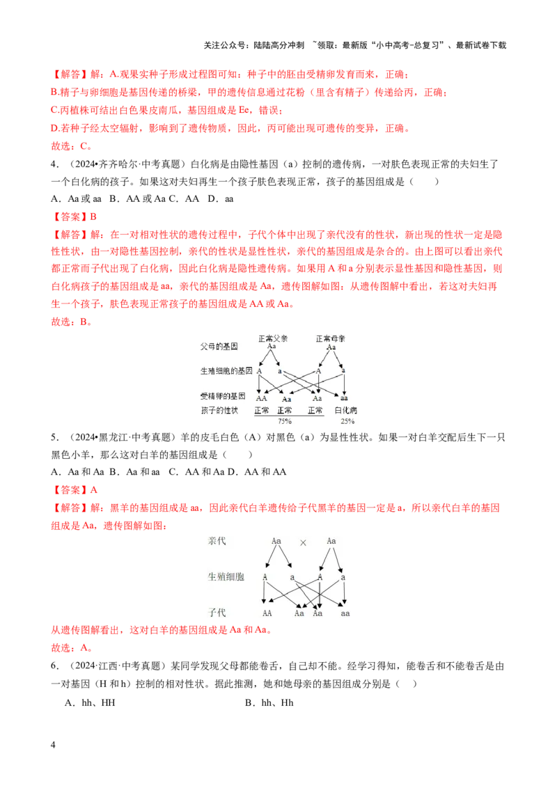 热点突破04基因组成及概率计算（讲练）（解析版）_02中考总复习（2026版更新中）_08-生物-中考总复习_2025中考复习资料_2025中考二轮课件ppt+讲义+练习生物_讲义+练习